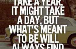 Quote Might Take A Day