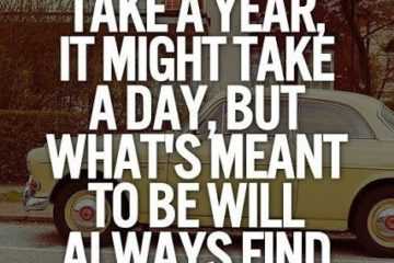 Quote Might Take A Day