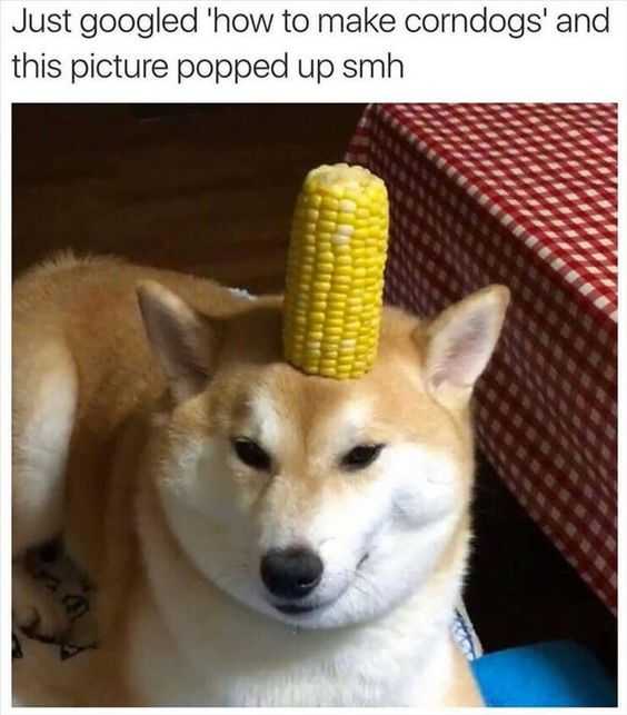 animal corndog