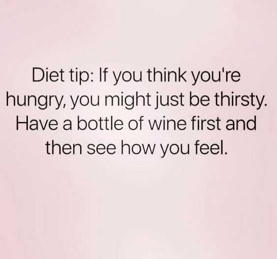 Funny Drink Wine Diet