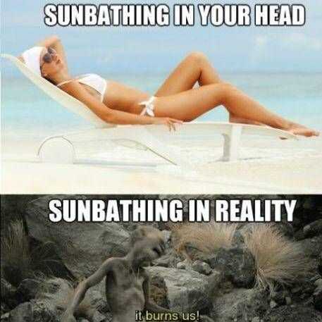 24 Hilarious Funny Summer Memes -