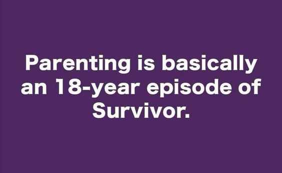 Funny Survivor 1