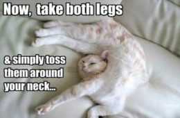 Funny Yoga Level