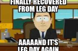 Meme Recovered Leg