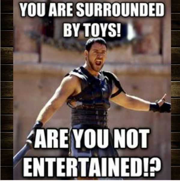 meme surrounded by toys