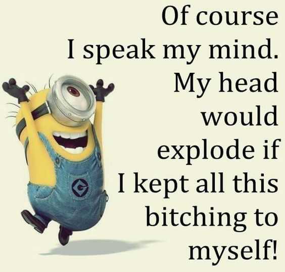 30 Funny Minion Quotes You Need to Read