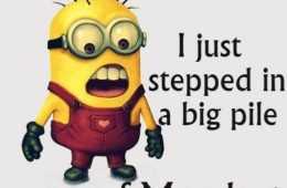Minion Stepped In Monday