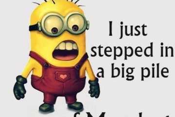 Minion Stepped In Monday