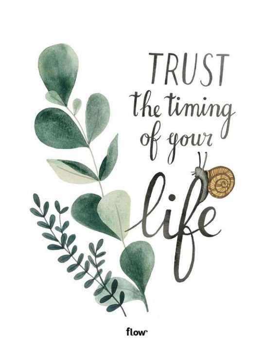 Quote Flow Life