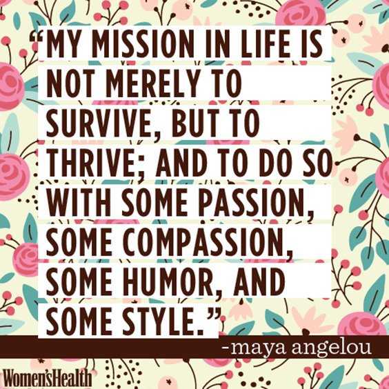 quote my mission