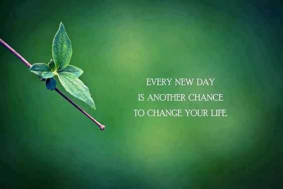 Quote New Change