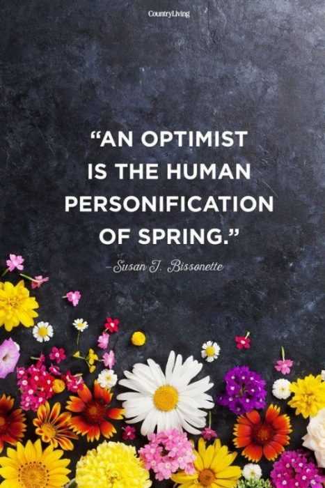 quote optimist
