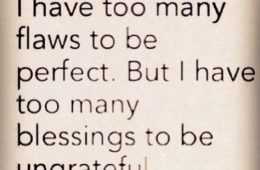 Quote Too Many Flaws