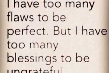 Quote Too Many Flaws