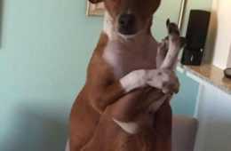 Funny Pose You Make