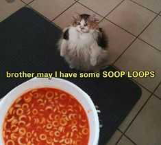 funny soop loops