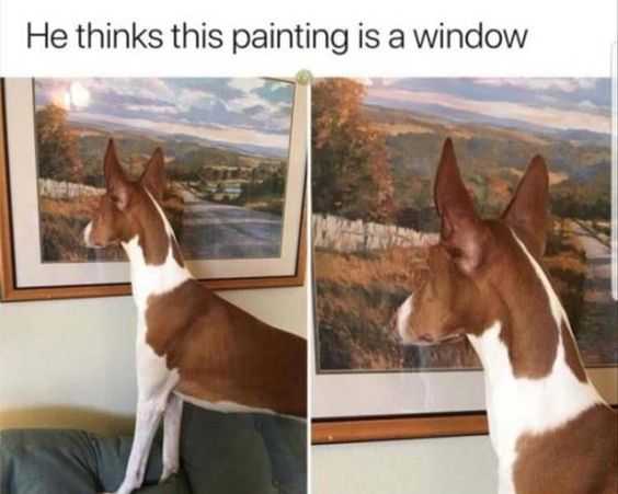 34 Memes and Funny Pictures That Will Crack You Up | funny window 34 Memes and Funny Pictures That Will Crack You Up