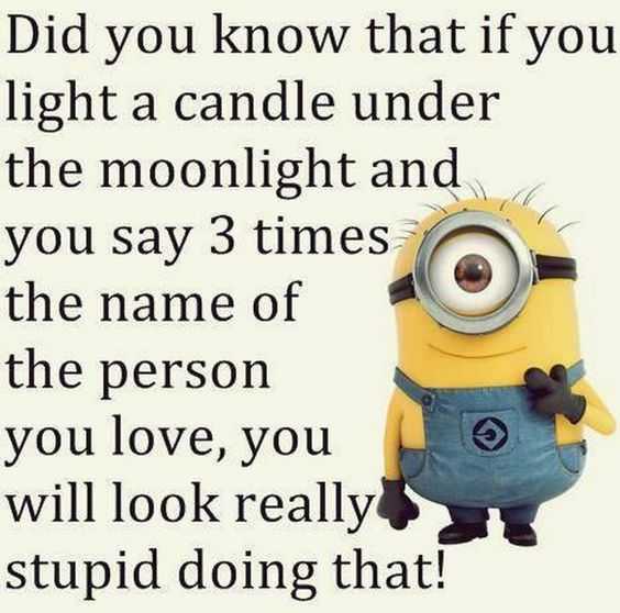 minion did you know