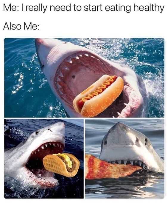 34 Memes and Funny Pictures That Will Crack You Up | pic also jaws 34 Memes and Funny Pictures That Will Crack You Up