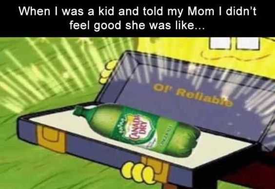 34 Memes and Funny Pictures That Will Crack You Up | pic ginger ale 34 Memes and Funny Pictures That Will Crack You Up