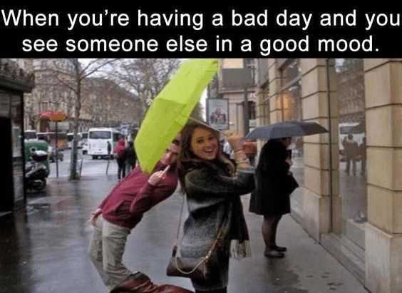 34 Memes and Funny Pictures That Will Crack You Up | pic having a day 34 Memes and Funny Pictures That Will Crack You Up