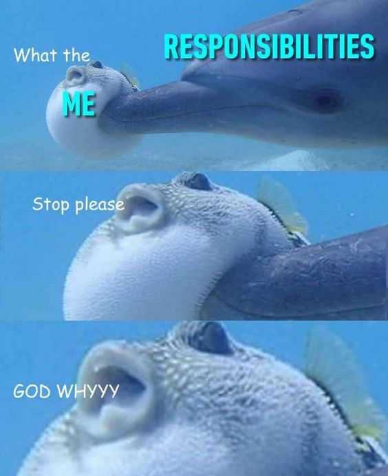 34 Memes and Funny Pictures That Will Crack You Up | pic poke 34 Memes and Funny Pictures That Will Crack You Up