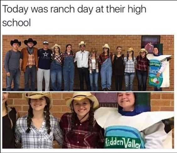 34 Memes and Funny Pictures That Will Crack You Up | pic ranch day 34 Memes and Funny Pictures That Will Crack You Up