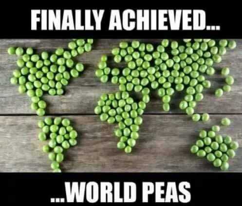 34 Memes and Funny Pictures That Will Crack You Up | pic world peas 34 Memes and Funny Pictures That Will Crack You Up