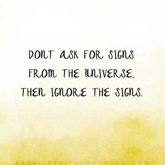 quote dont ignore signs