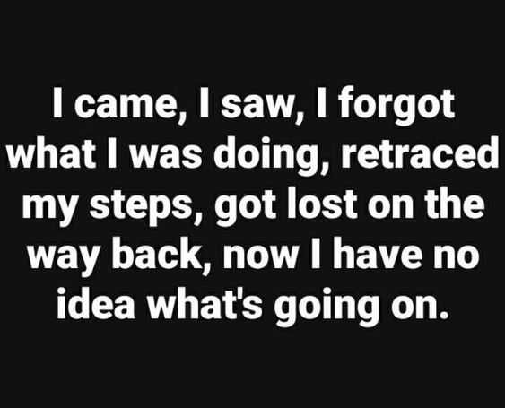 Quote I Came Saw