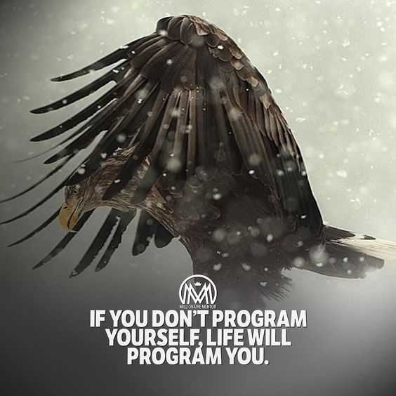quote ifyou dont program