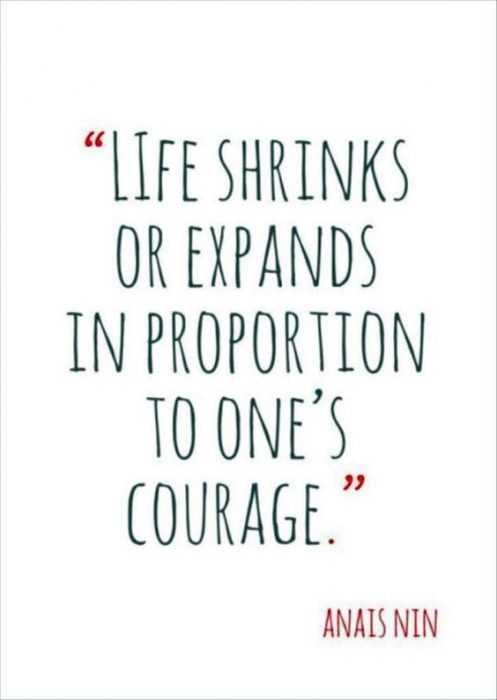 quote life shrinks