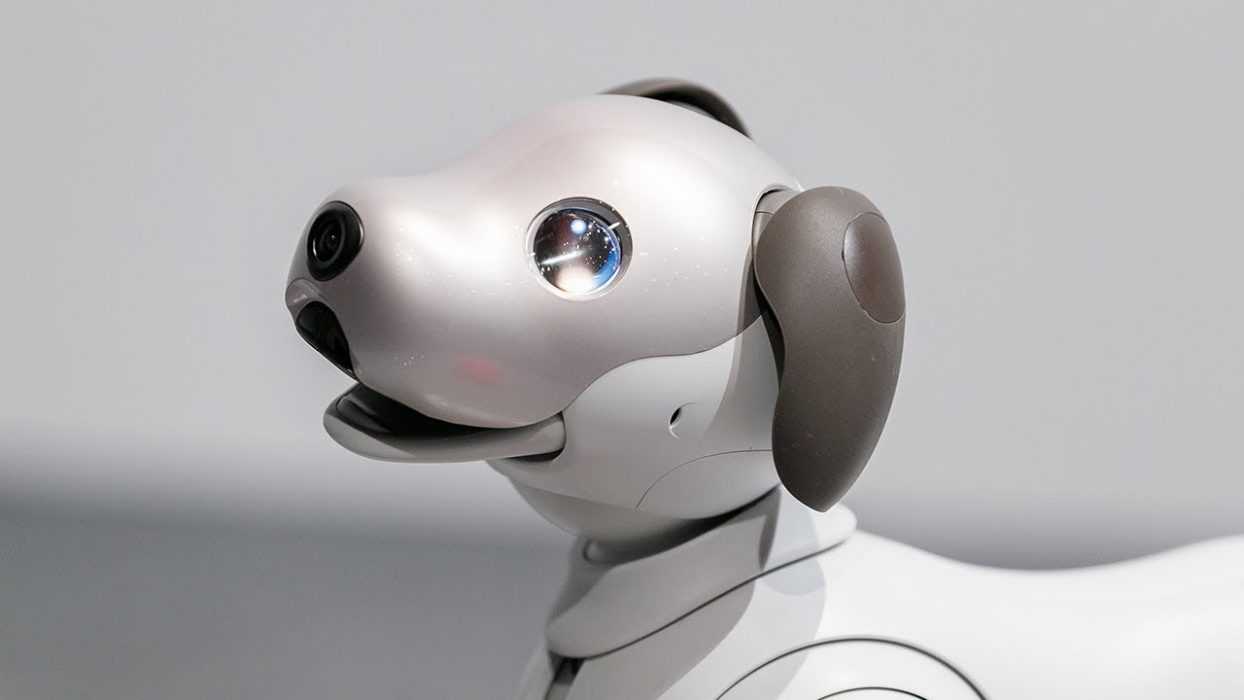 sony dog robot