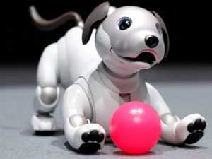 sony robotic dog2