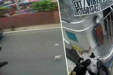 Screen Shot 2018 09 02 At 1.52.48 Pm