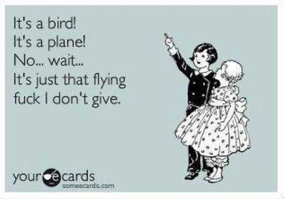 Funny Bird Game