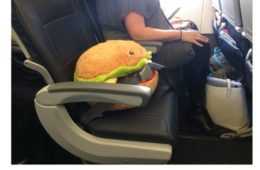 Funny Burger Fi