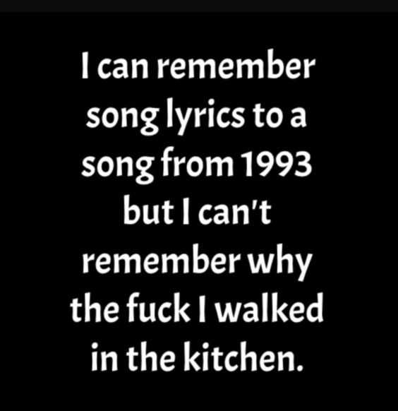 Funny Can Remember 1993