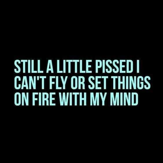 Funny Cant Fly Set