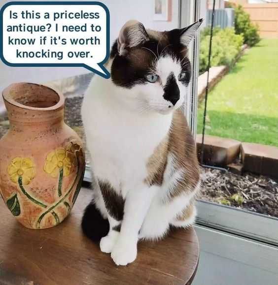 funny cat antiques