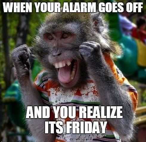funny friday alarm