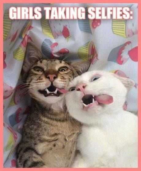funny girls selfies