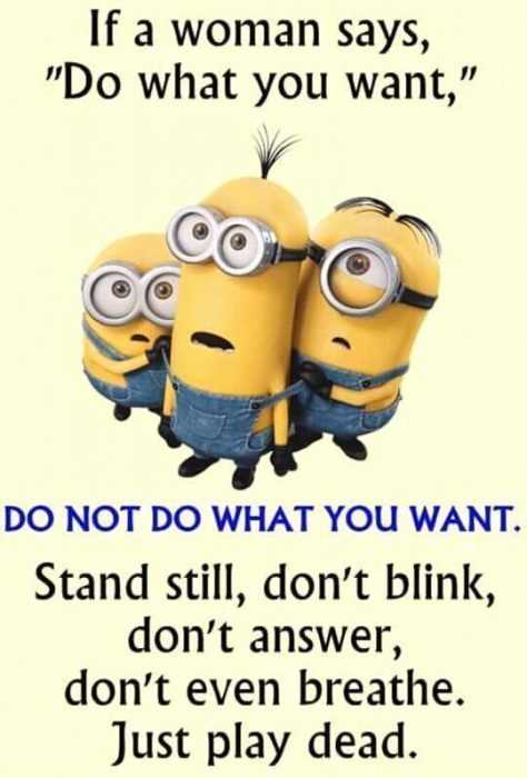 minion do what you want