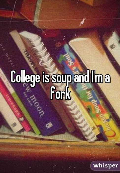35 New Funny and Sarcastic Sayings, Quotes and Quips | quote college fork 35 New Funny and Sarcastic Sayings, Quotes and Quips