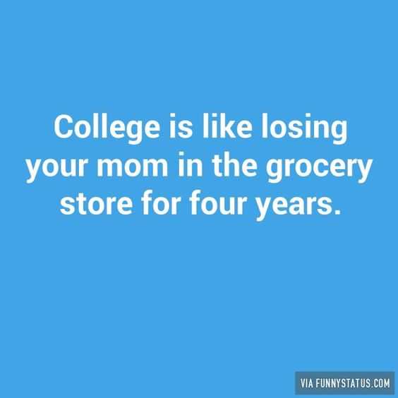 35 New Funny and Sarcastic Sayings, Quotes and Quips | quote college mom grocery 35 New Funny and Sarcastic Sayings, Quotes and Quips