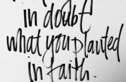 Quote Dig Up Doubt