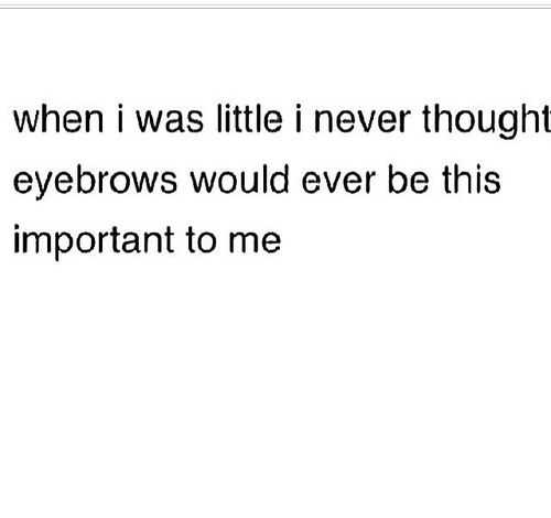 35 New Funny and Sarcastic Sayings, Quotes and Quips | quote eyebrows 35 New Funny and Sarcastic Sayings, Quotes and Quips