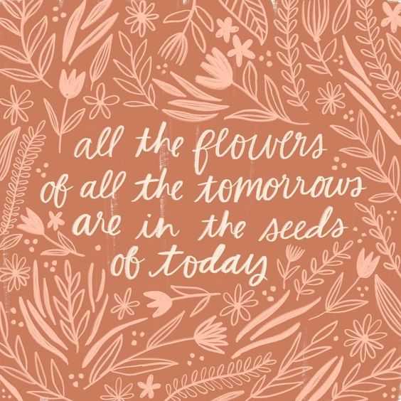 31 Sensational and Inspiring Quotes | quote of all the flowers 31 Sensational and Inspiring Quotes