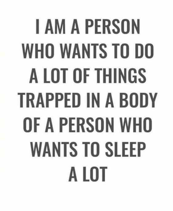 35 New Funny and Sarcastic Sayings, Quotes and Quips | quote trapped 35 New Funny and Sarcastic Sayings, Quotes and Quips