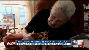 Rescue dog saves 92 year old Inverness owner 1 53 screenshot